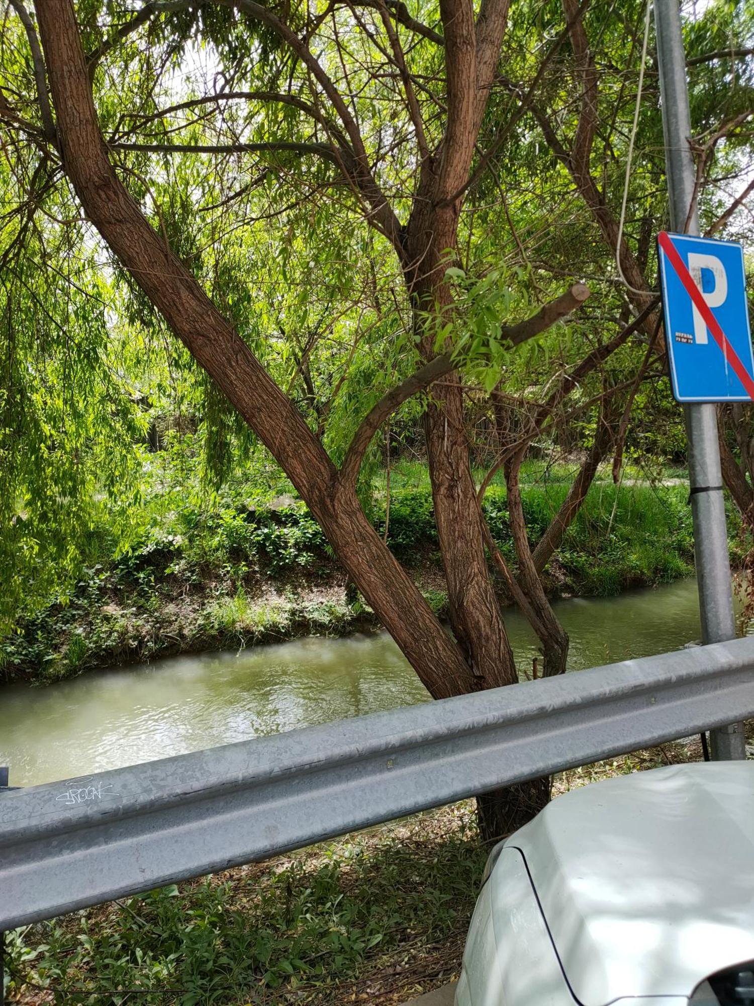 Roşu Cozy Apartment Bucharest מראה חיצוני תמונה